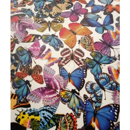 vtech butterfly
