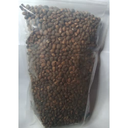 Croton Seed/miracle Seed/ghana Seed 1kg Konga Online Shopping