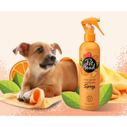 Pet Head Ditch The Dirt Spray 300ml 10.1fl Oz Konga Online Shopping