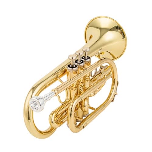 Gold cornet hotsell