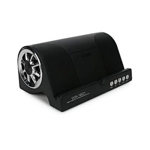 Wster multimedia wireless speaker online